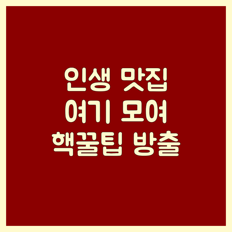 맛집 정보